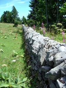 Un mur de pierres sèches