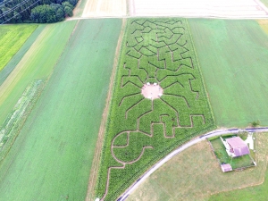 Le labyrinthe de maïs de Bottens