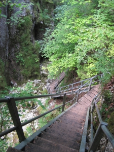 Quelques escaliers dans la descente vers Biaufond.