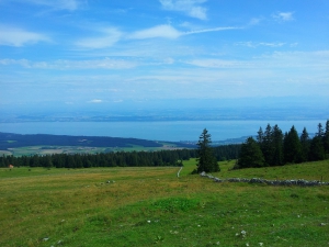 Vue plongeante sur le lac de Neuchâtel