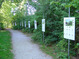 Sentier pédestre le long de la Broye, avec panneaux didactiques