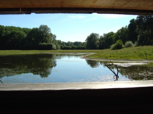 Vue sur un étang depuis l'observatoire