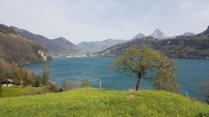 Depuis le Grütli, vue sur le lac des Quatre Cantons et Brunnen