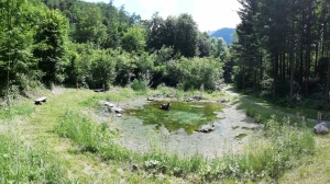l'étang est situé à quelques mètres du Couvert des Amoureux qui peut être loué