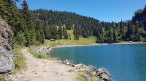 Le lac des Chavonnes