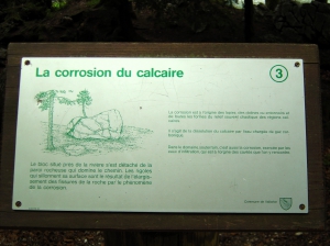 Un panneau didactique dans la forêt