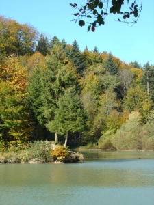 Le lac artificiel de l'Arboretum