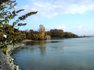 La rive du Lac, juste derrière l'église de St-Blaise
