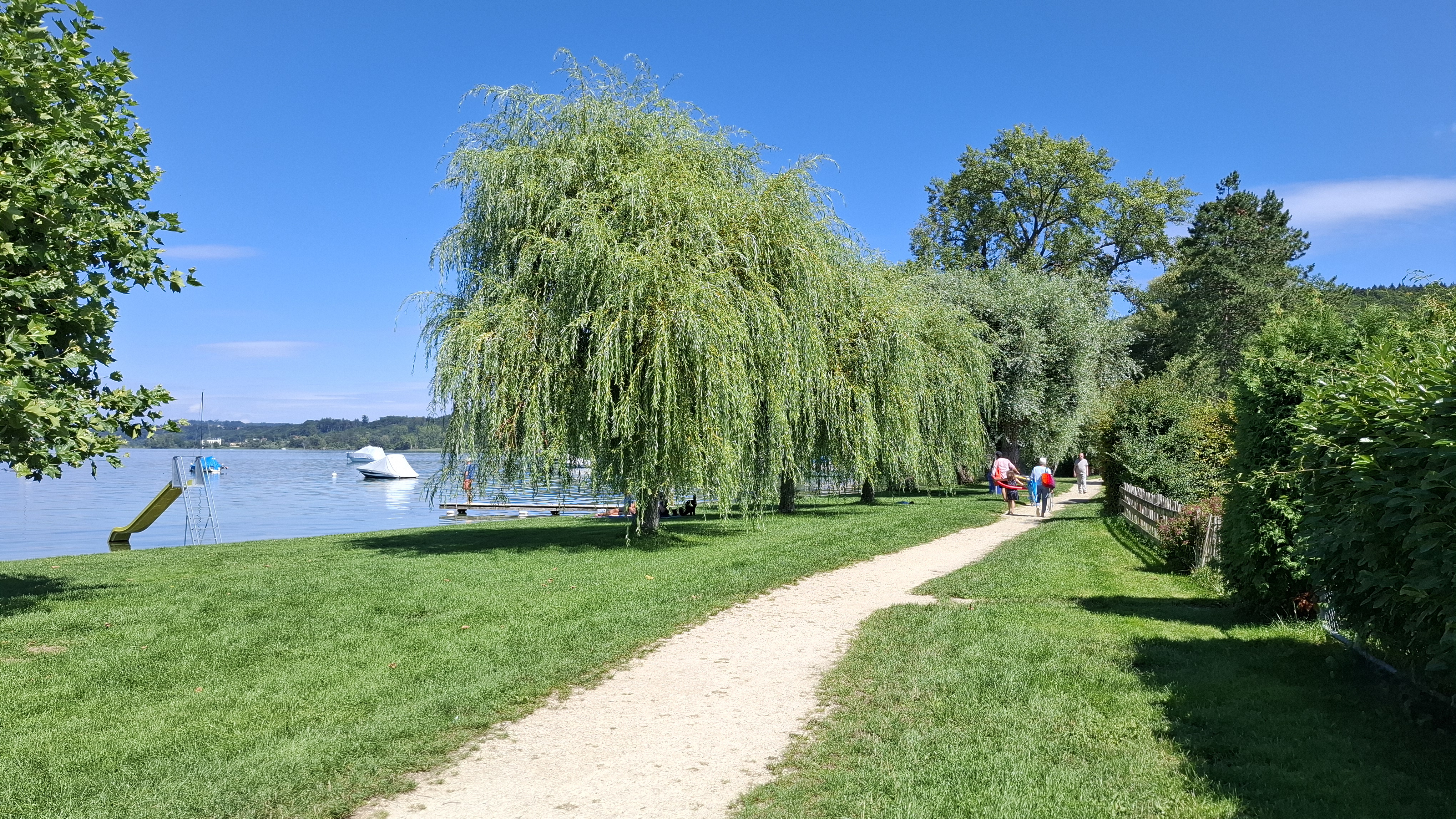 Lüscherz