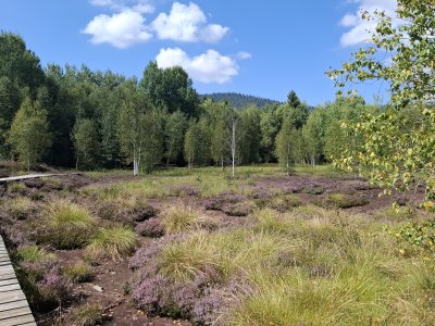 Le sentier bien aménagé