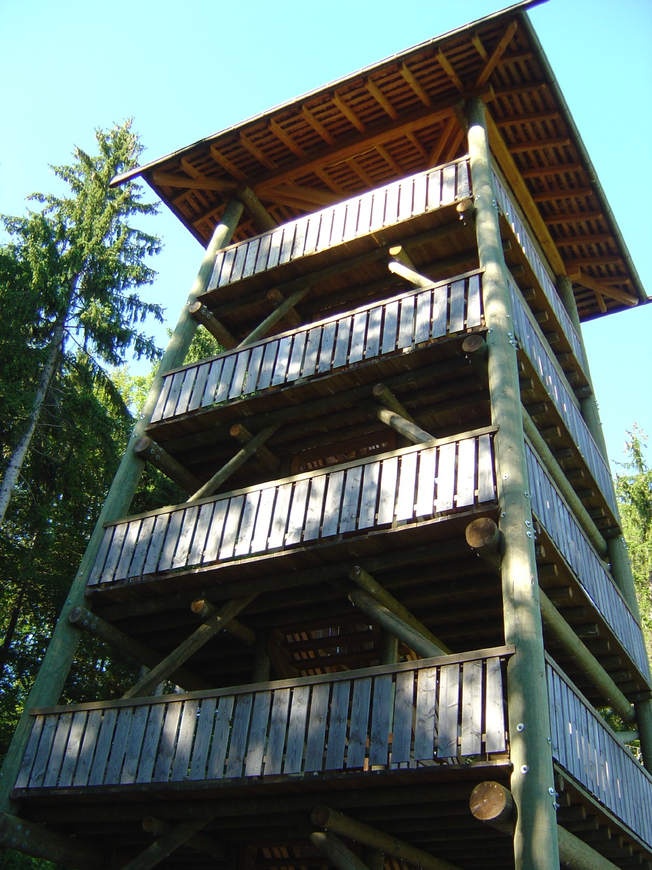 Bois des Brigands
