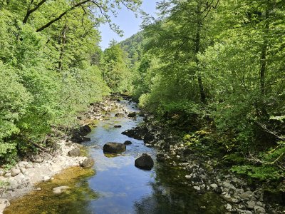 <p>L'Areuse</p>