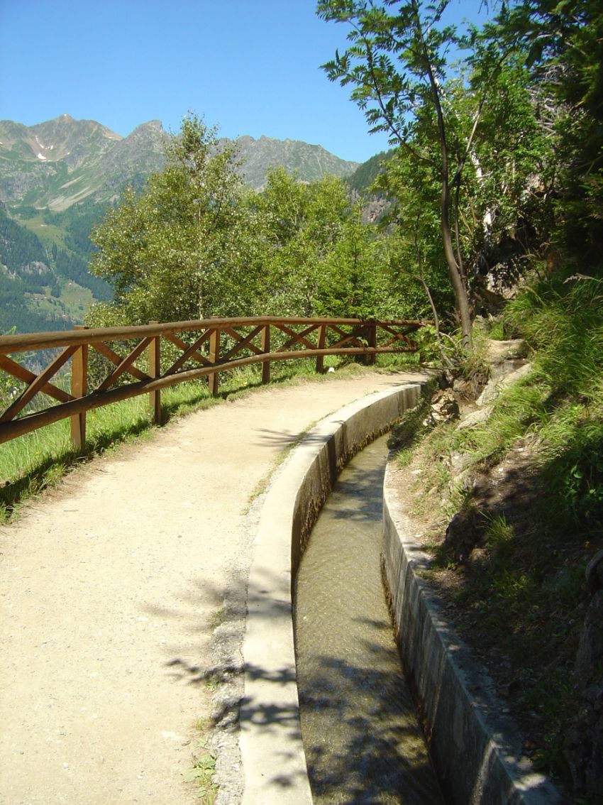Bisse du Trient
