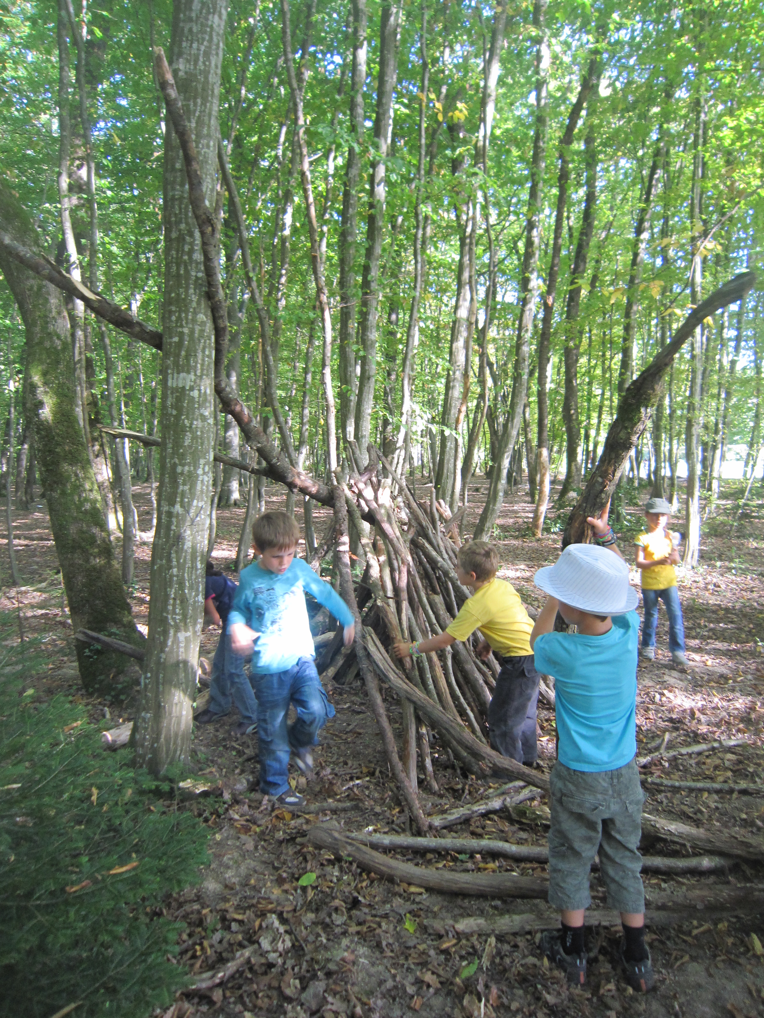 Bois de Jussy