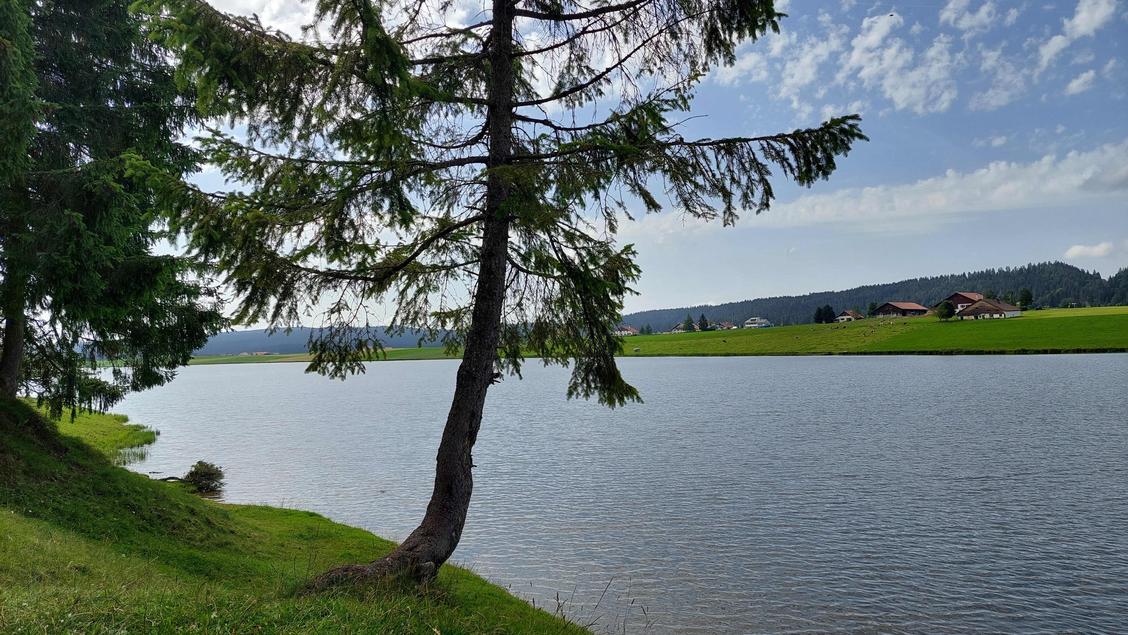 Lac des Taillères (été)