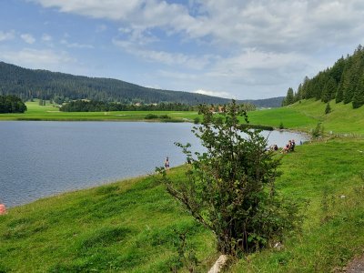 <p>Les berges du lac des Taillères est propice au farniente</p>