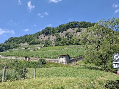 Au départ de la balade