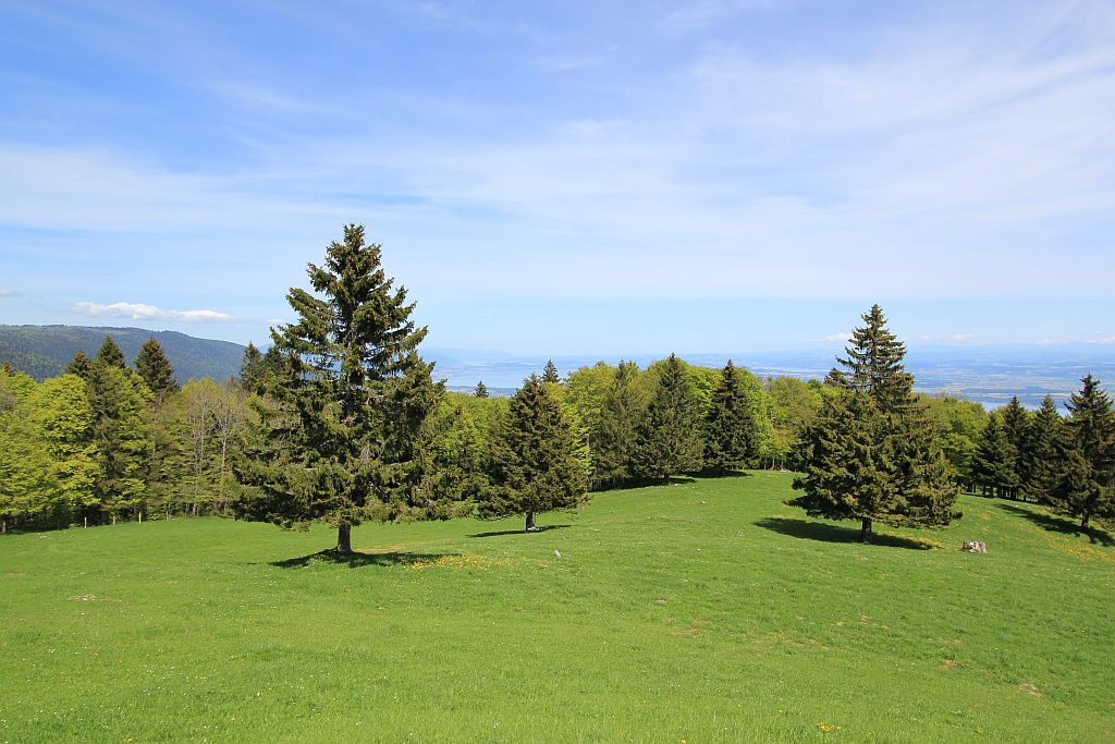Mont Aubert