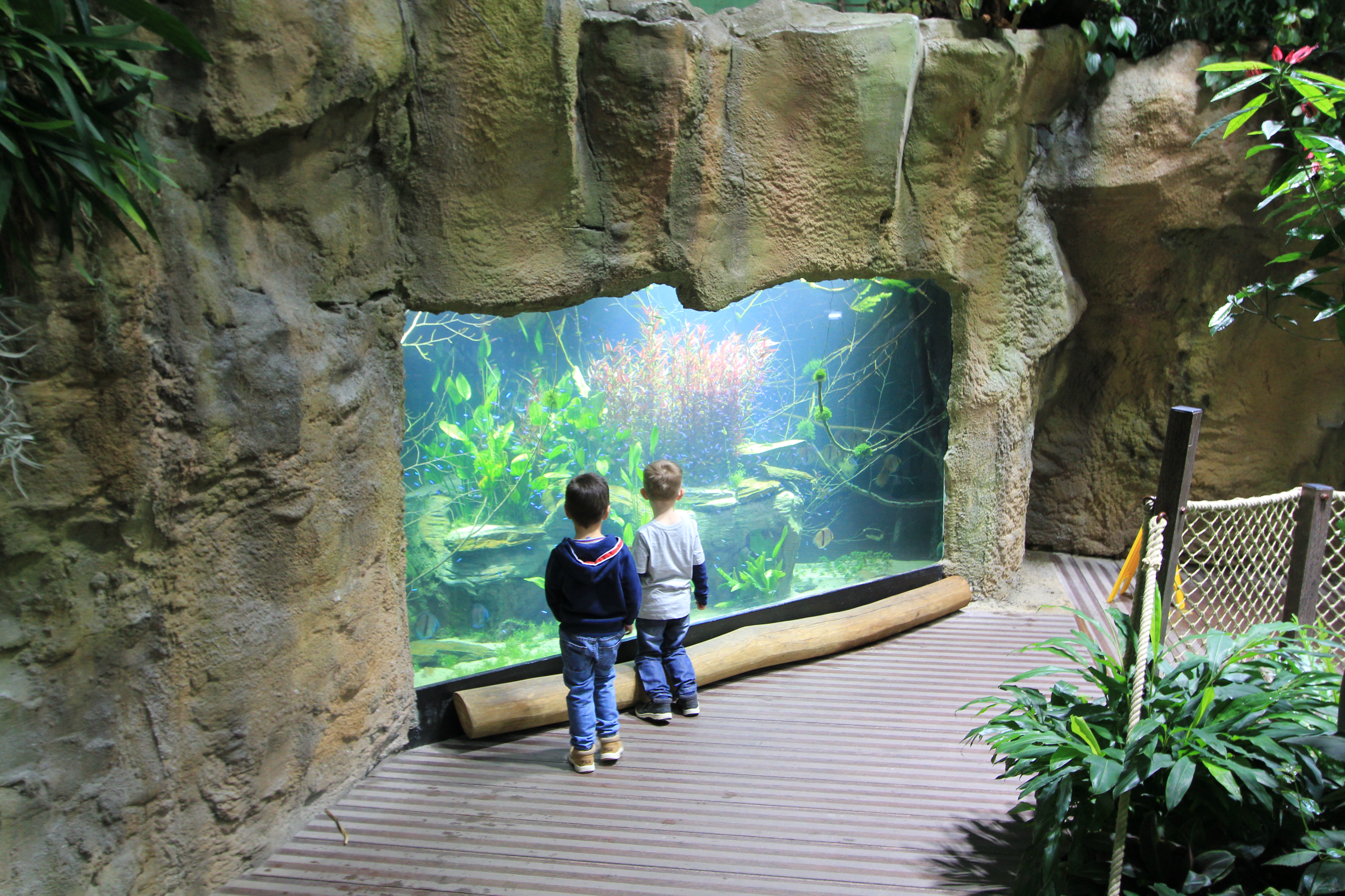 Aquatis (aquarium et vivarium)