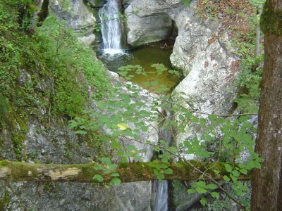Chutes d'eau dans les gorges