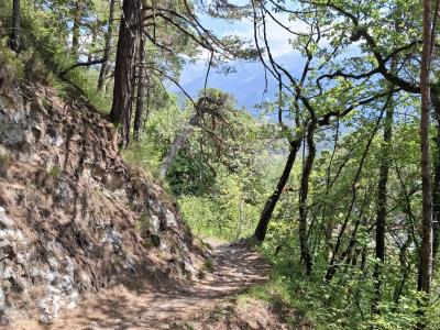 Le sentier de Provence, dans le Bois de la Glaivaz
