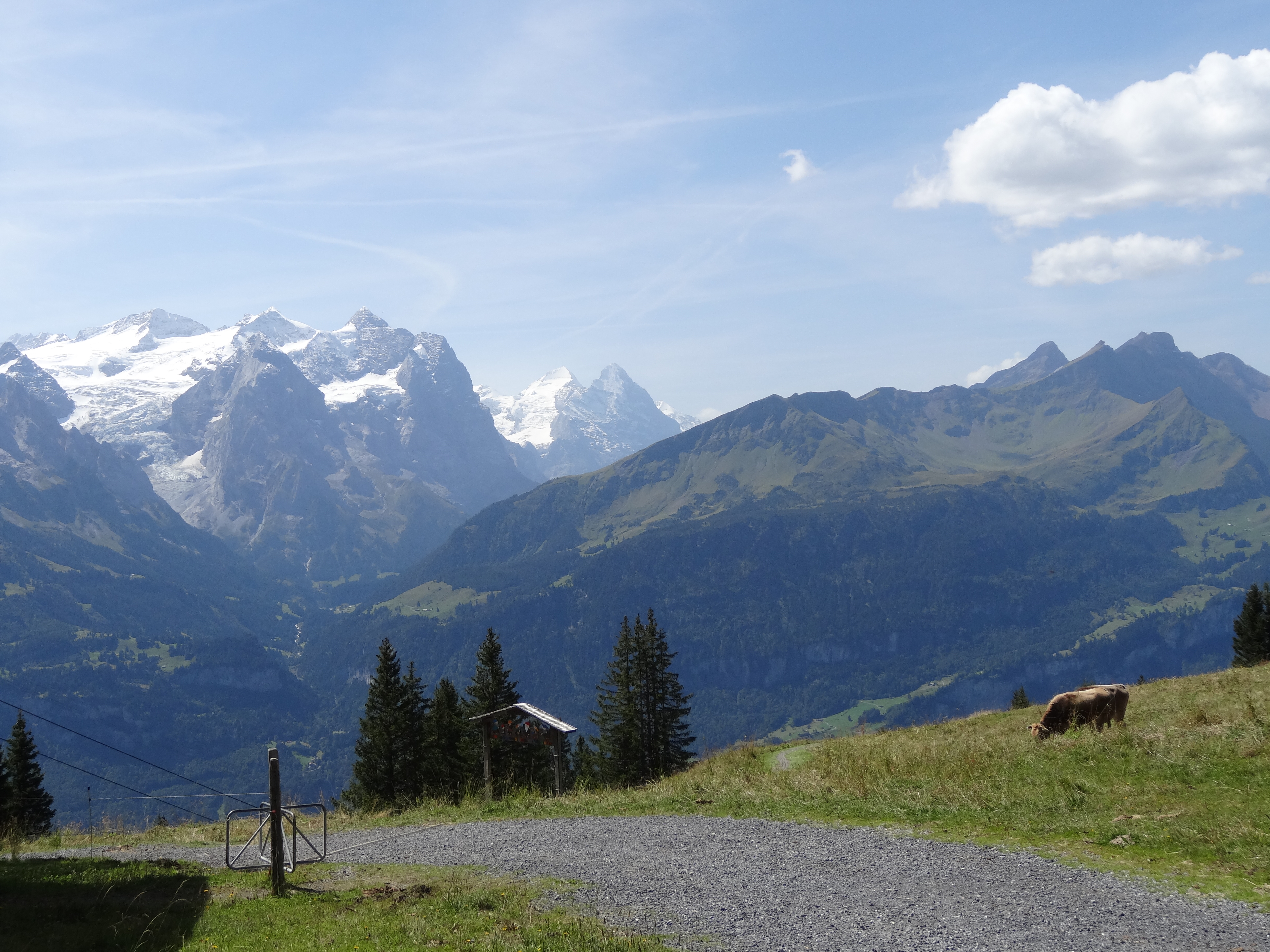 Muggestutz 2, Chemin des nains