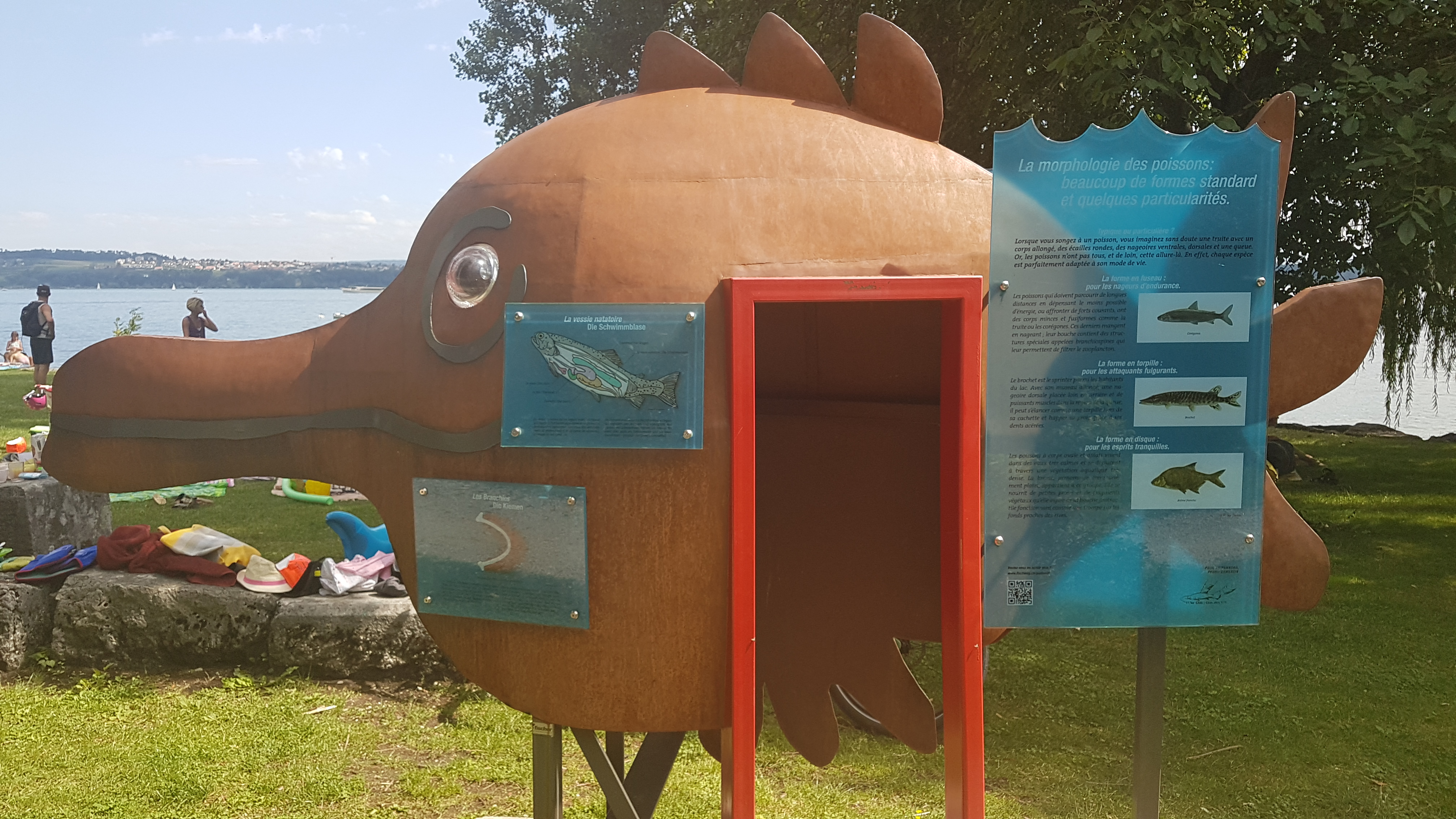 Sentier des poissons du lac de Bienne
