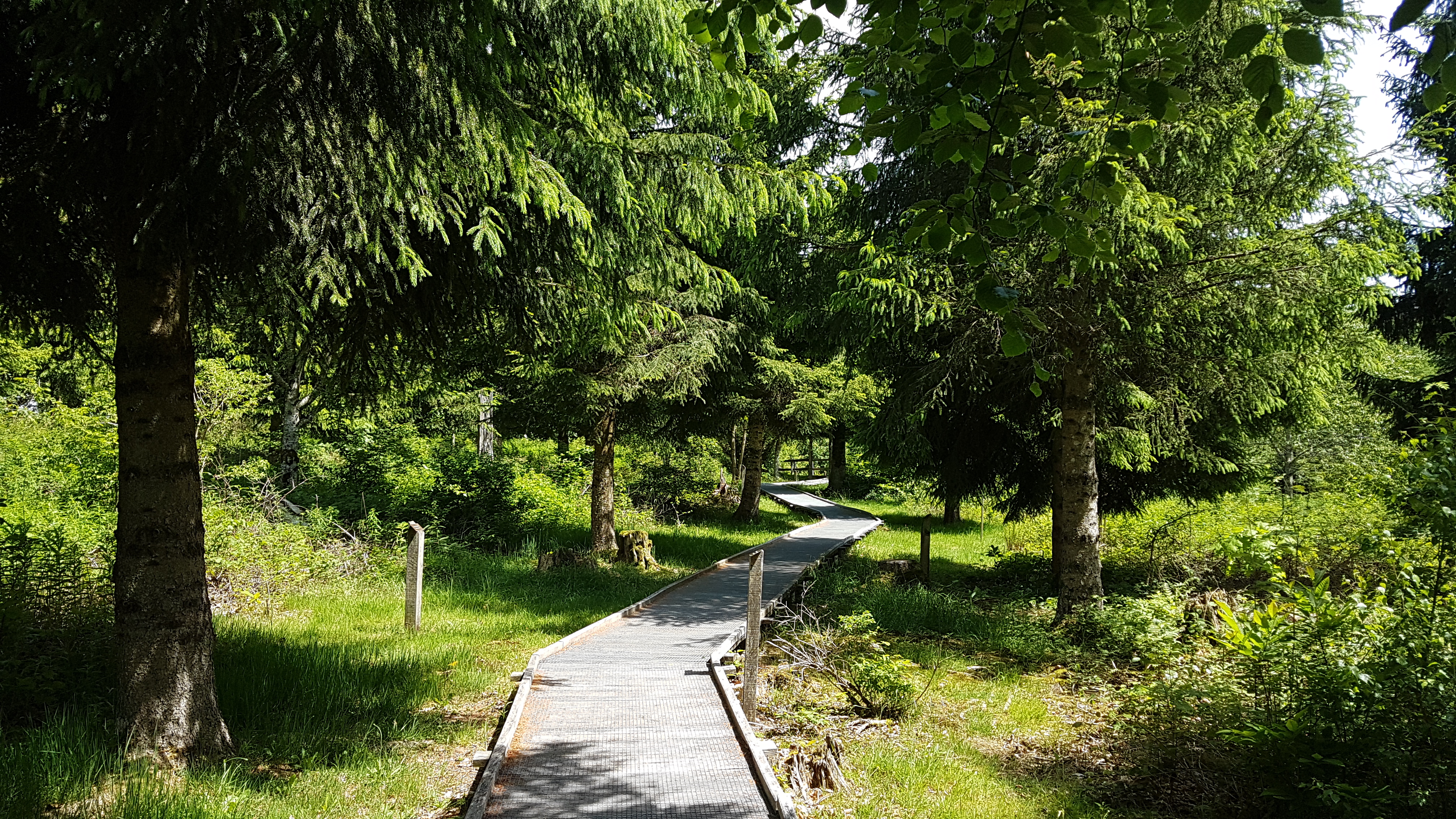 Sentier handicap