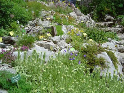 Le jardin alpin