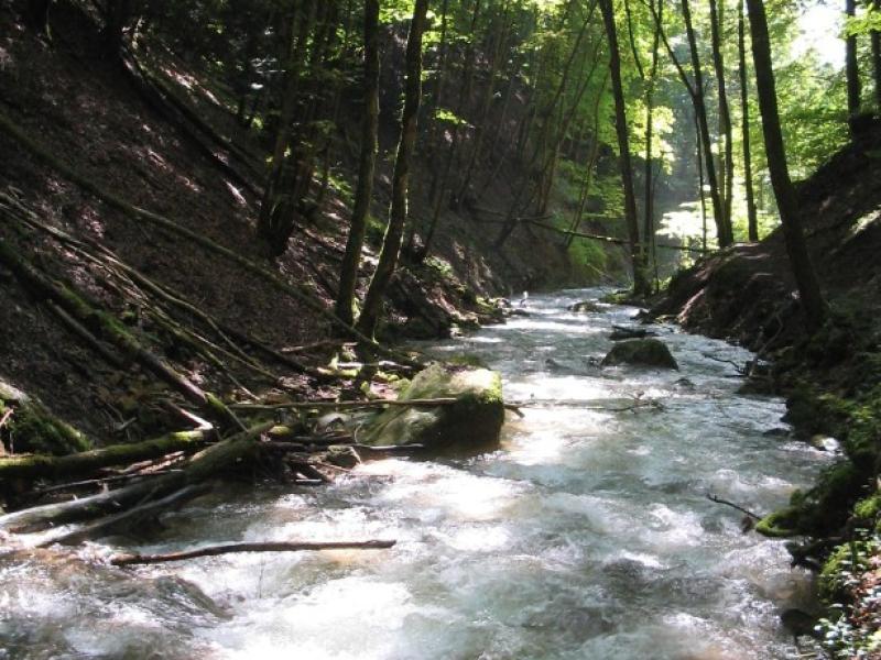 Gorges du Nozon