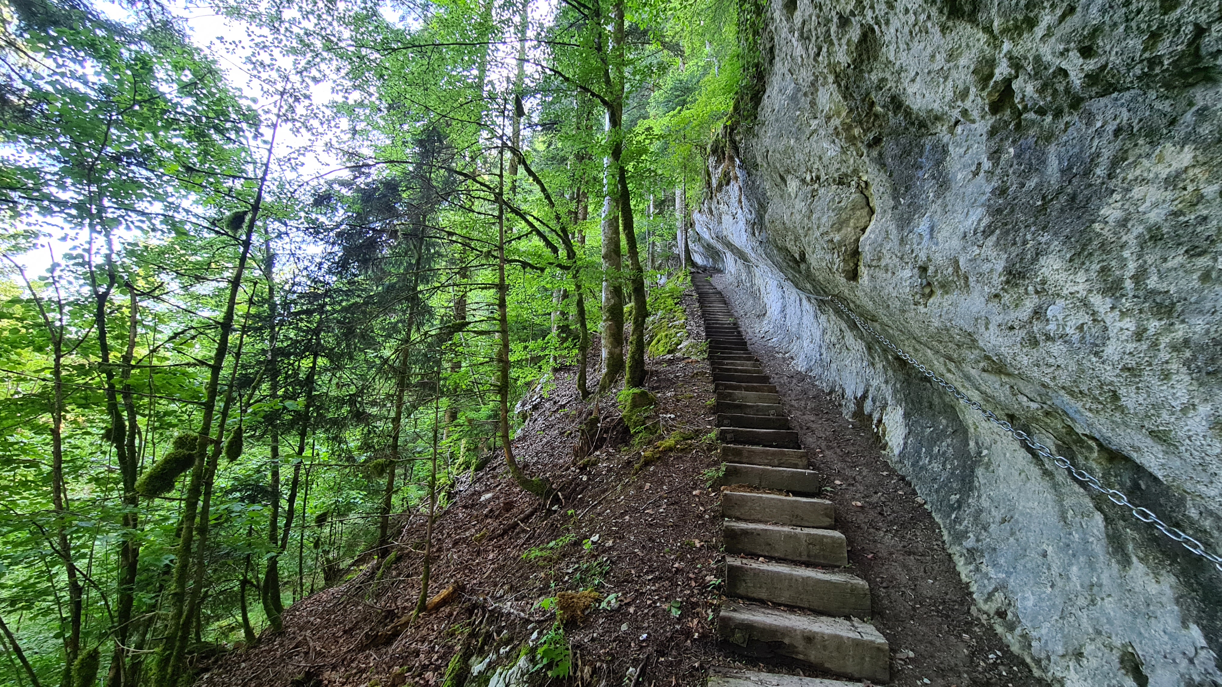 Corridor-au-loup