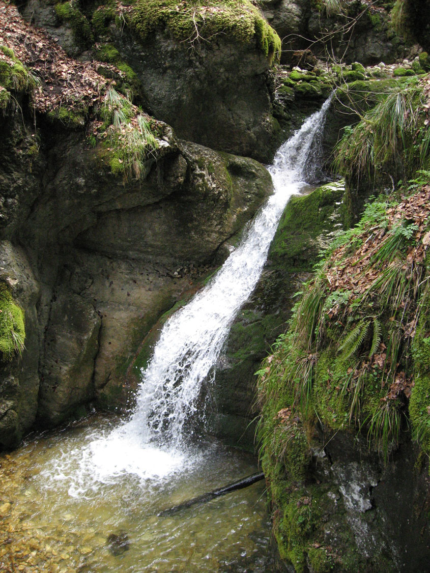 Gorges de la Poëta-Raisse
