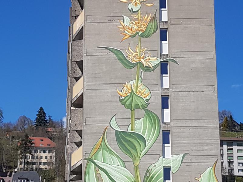 Le Locle, Art Urbain