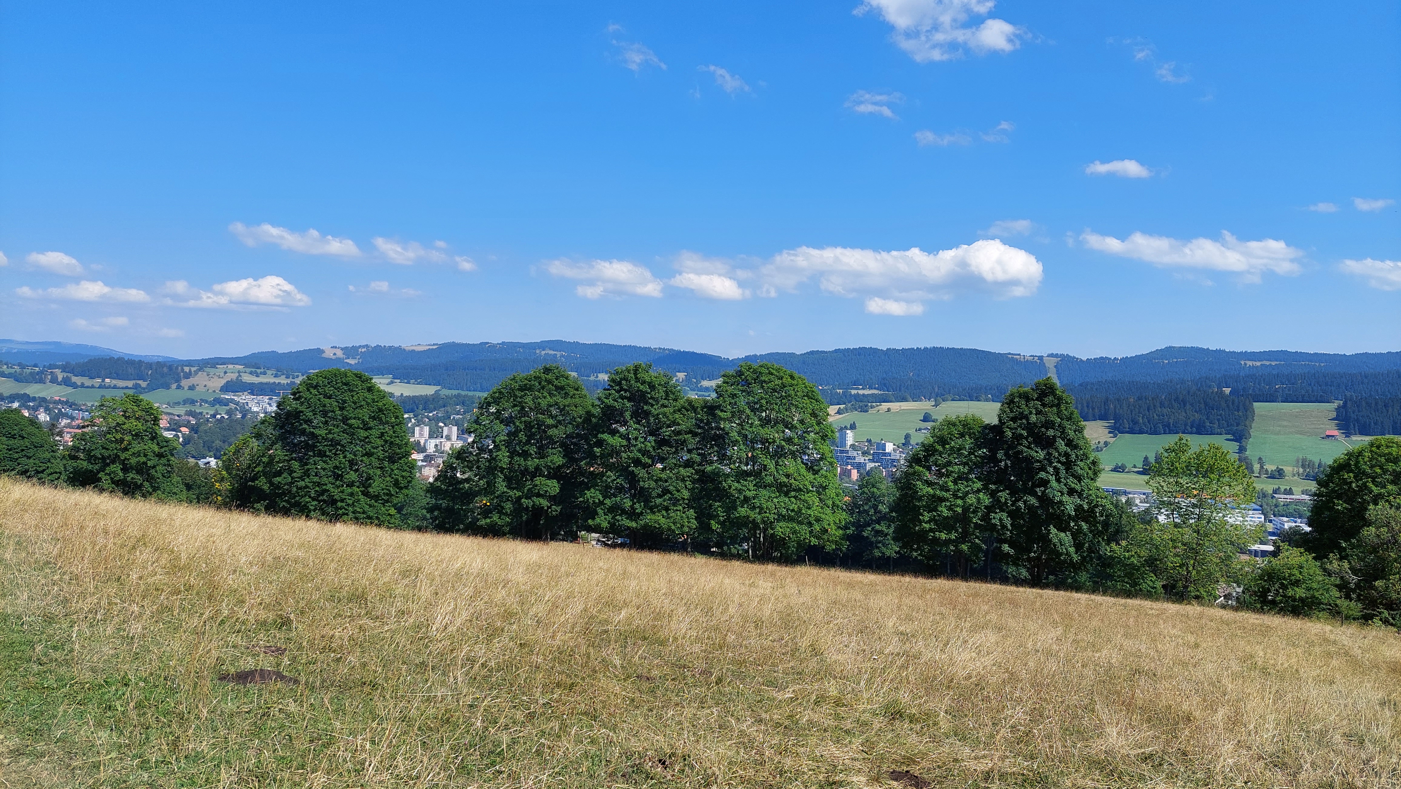 ECOsentier