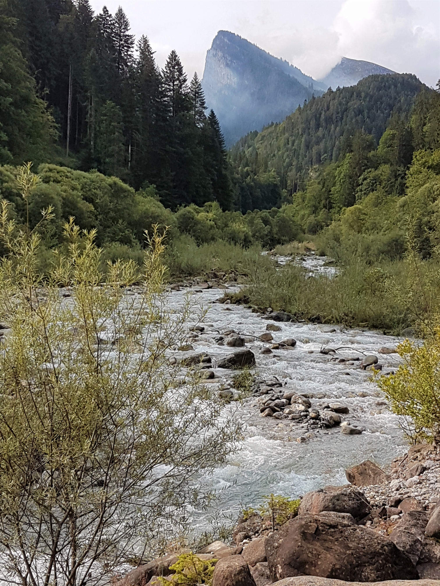 Diemtigtal