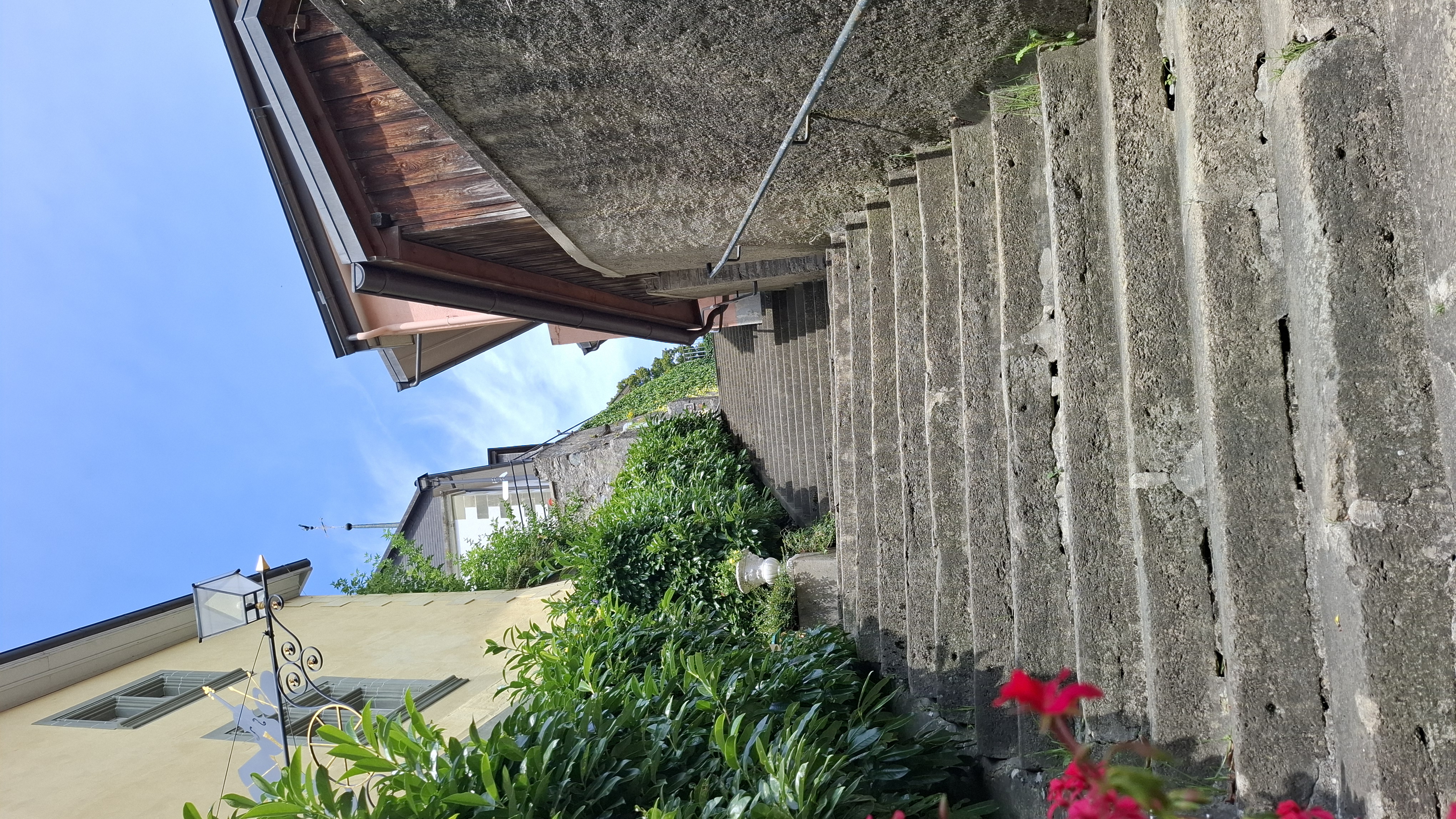 Rue