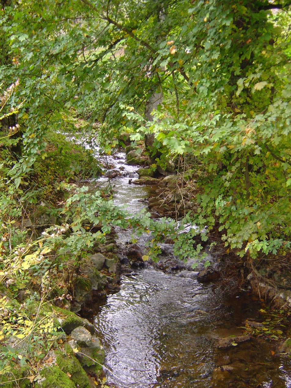 Combe du Pilouvi - Ruisseau de Vaux