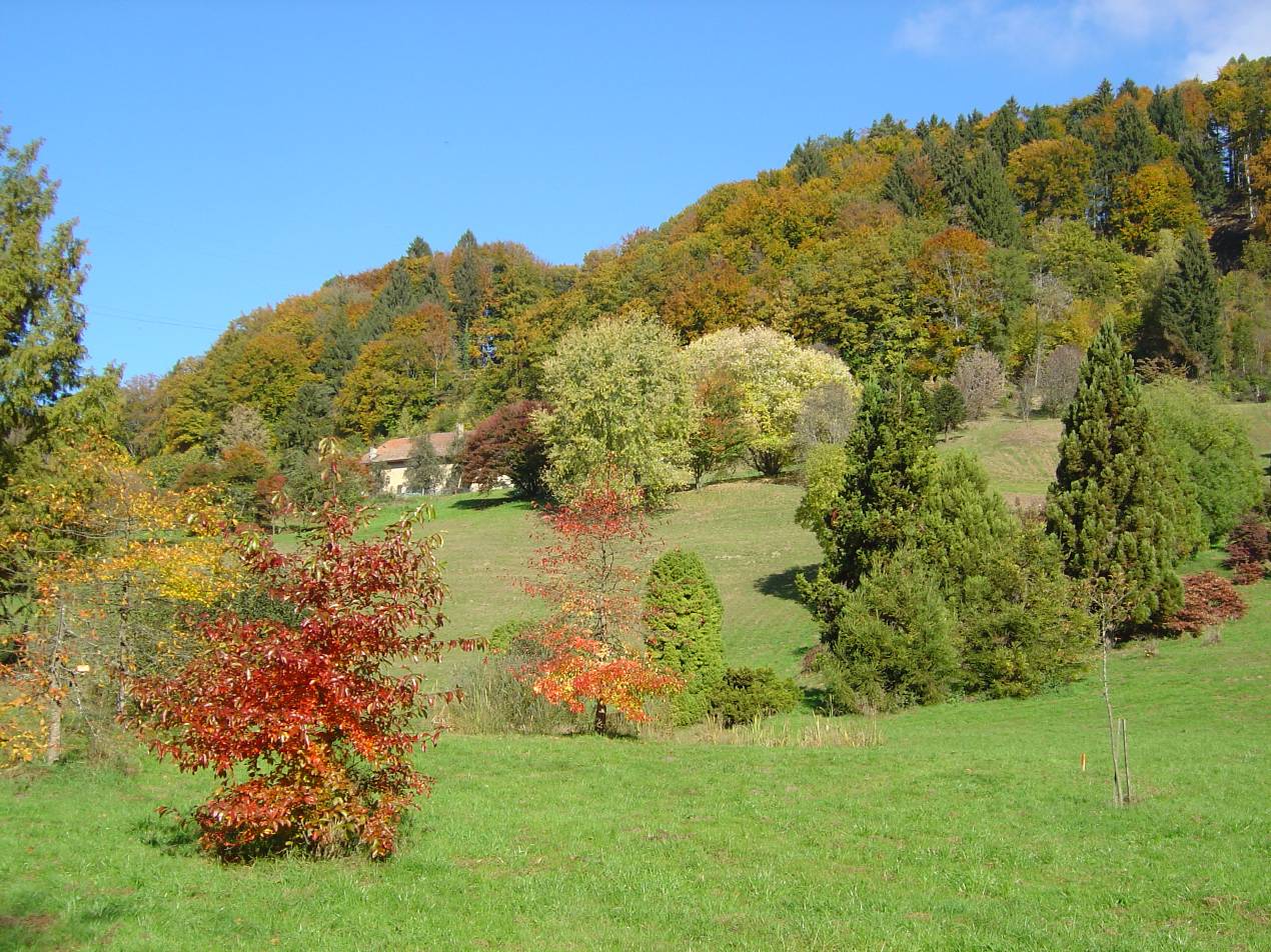 Arboretum du vallon de l'Aubonne
