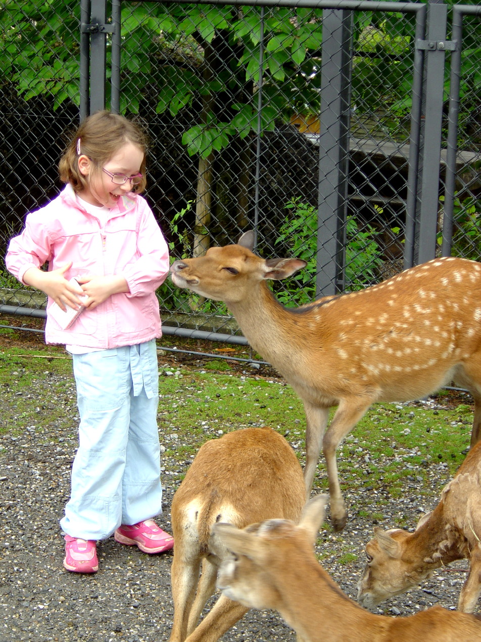 Zoo de Goldau