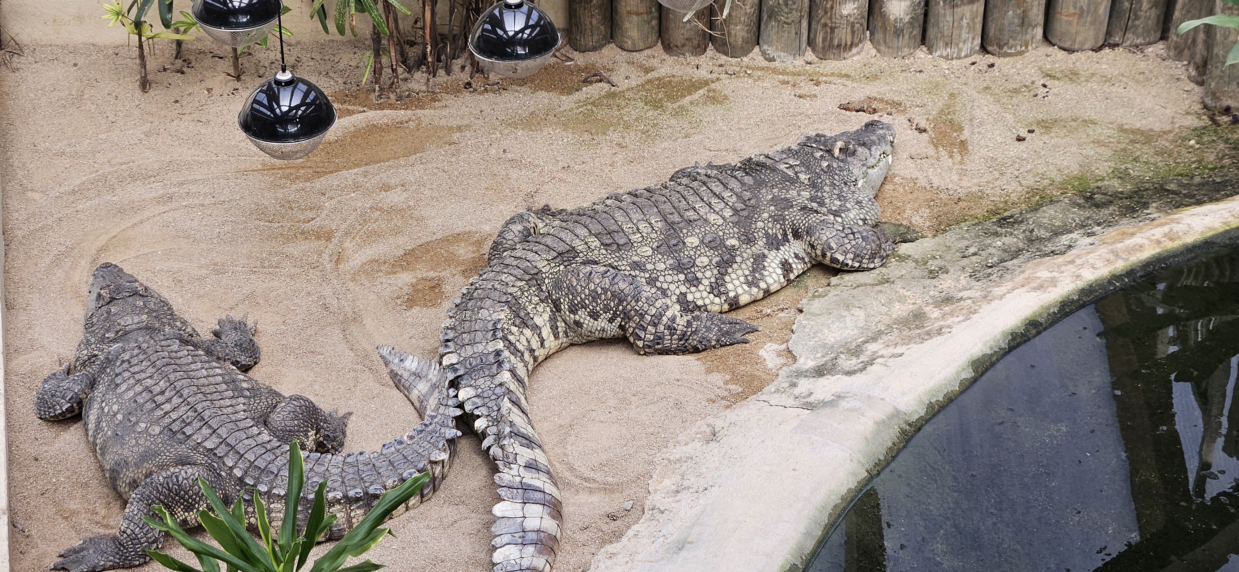Zoo de Servion et Tropiquarium