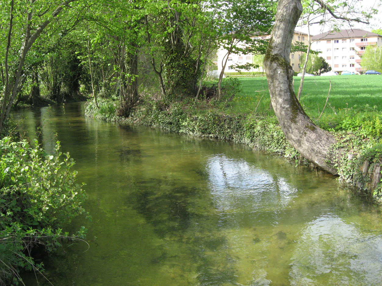 Cortaillod et l'Areuse